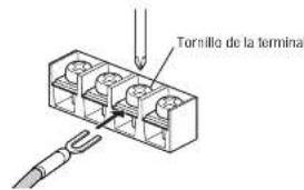 PANASONIC CYPAD1003N - Conexión de tornillo de la terminal de salute de la bocina - 4