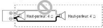 PANASONIC CYPAD1003N - Remarque sur la connexion des haut-parleurs en pont - 1