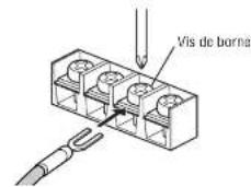 PANASONIC CYPAD1003N - Connexion de la vis de borne de sortie du haut-parleur - 3