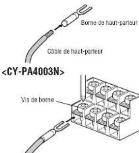 PANASONIC CYPAD1003N - Connexion de la vis de borne de sortie du haut-parleur - 2