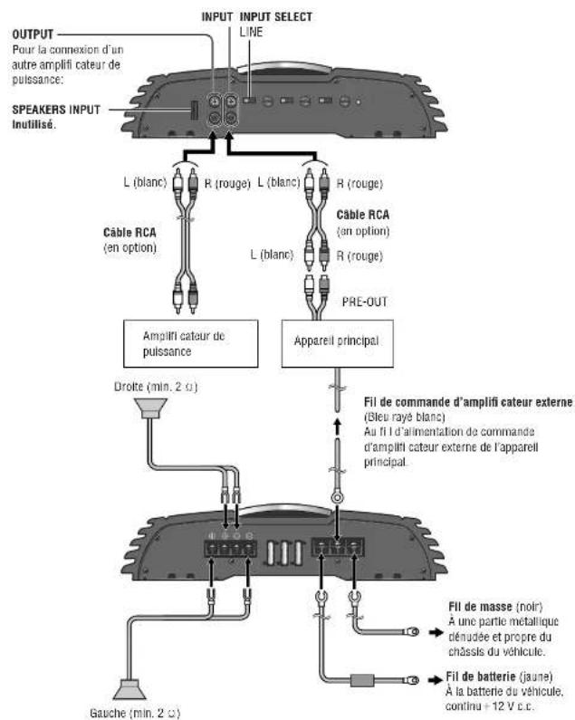 PANASONIC CYPAD1003N - Connexions de haut-parleur avec cable RCA - 1