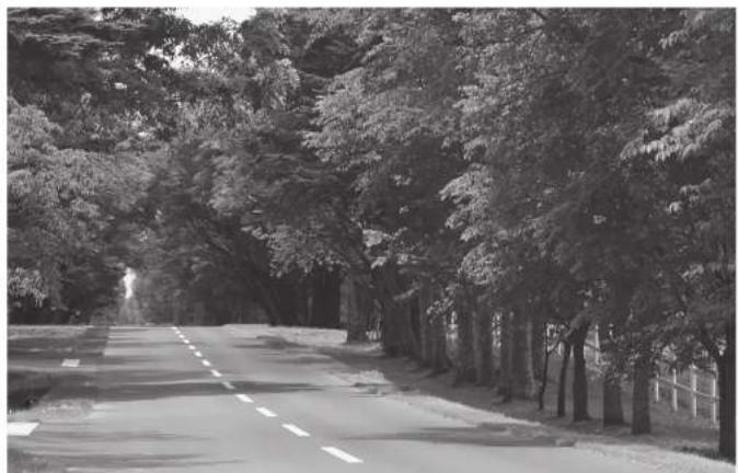 PANASONIC CYPAD1003N - 2