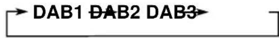 JVC KDLX330R - Choisissez le tuner DAB (DAB1-3). - 3