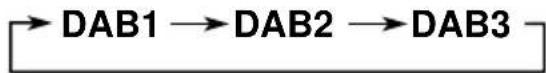 JVC KDLX330R - Selecteer de DAB-tuner (DAB1-3). - 2