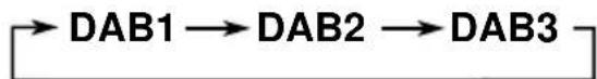 JVC KDLX110R - Selecteer de DAB-tuner (DAB1-3). - 2