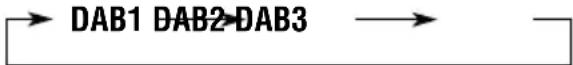 JVC KDLH1000R - Wählen Sie das DAB-Frequenzband (DAB1, DAB2 oder DAB3). - 2