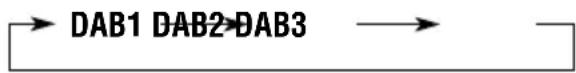 JVC KDLH1000R - Wählen Sie das DAB-Frequenzband (DAB1, DAB2 oder DAB3). - 2