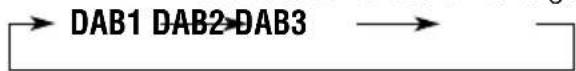 JVC KDLH1000R - Wählen Sie das DAB-Band (DAB1, DAB2 oder DAB3). - 2