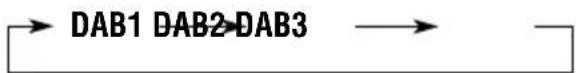 JVC KDLH1000R - Selecteer de DAB-band (DAB1, DAB2 of DAB3). - 2