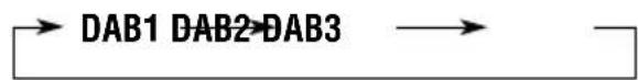 JVC KDLH1000R - Select the DAB band (DAB1, DAB2 or DAB3). - 2