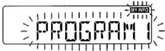 AIWA CTFX719 - FONCTION MES INFORMATIONS - 2