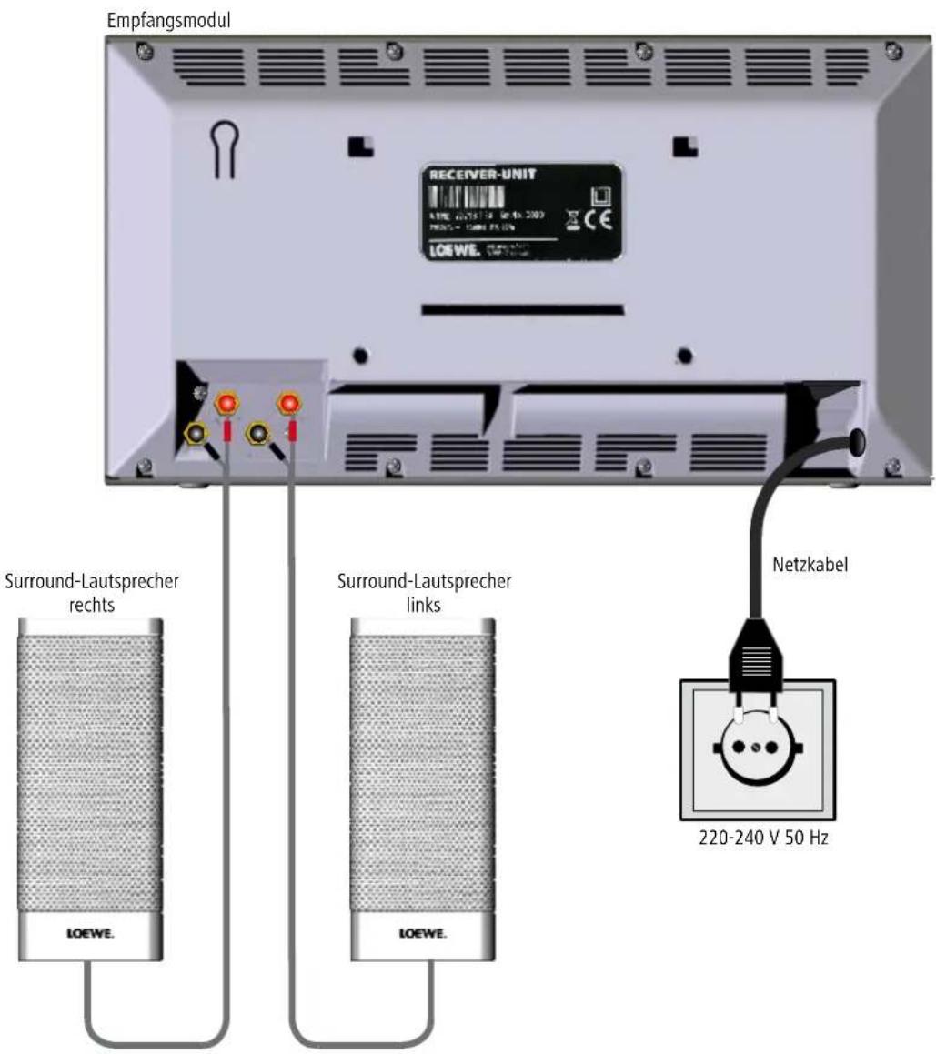 LOEWE Wireless Rear Sound - Verkabelung – Empfangsmodul – Surround-Lautsprecher - 1