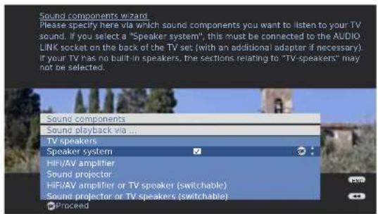 LOEWE Wireless Rear Sound - Linking modules with Loewe Flat TV (L2710) - 3