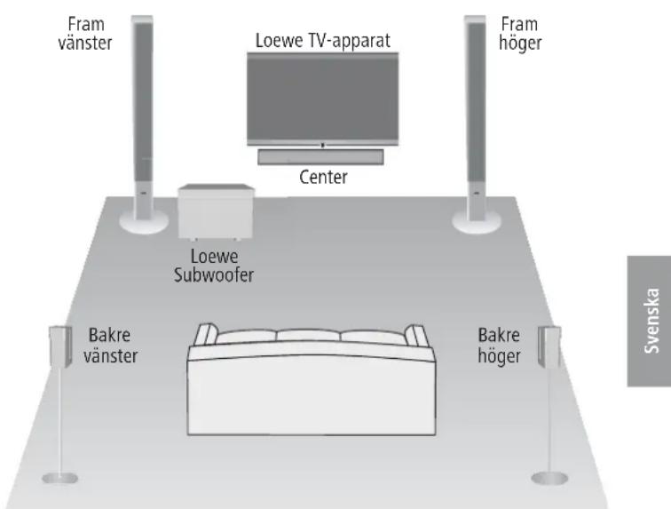 LOEWE Subwoofer 525 - Subwoofer - 1