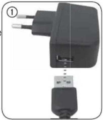 PEAQ PPA120BT - Remarques : - 1