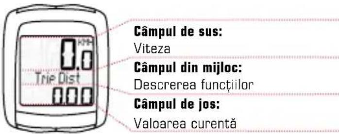 SIGMA BC 14.12 STS ALTI - Structura afisajului - 1