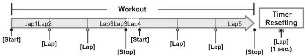 PIONEER SGXCA900 - Workout - 1