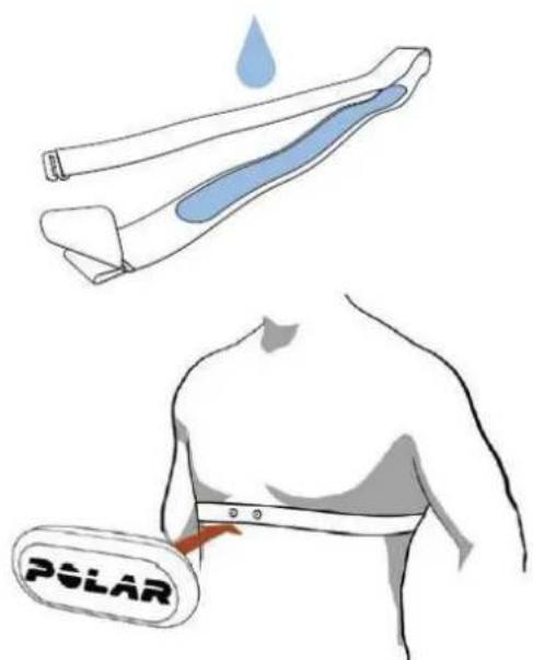 POLAR V650 - METTRE L'EMETTEUR DE FREQUENCY CARDIAQUE EN PLACE - 1