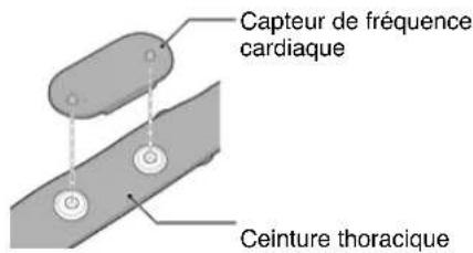 CAT EYE Strada Smart CCRD500B - Attachez le capteur à la ceinture thoracique. - 1