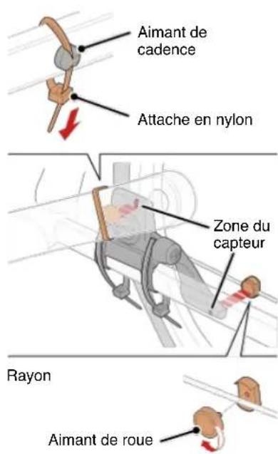 CAT EYE Strada Smart CCRD500B - Attachez I'aimant temporairement. - 1