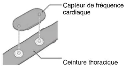 CAT EYE Strada Smart CCRD500B - Attachez le capteur à la ceinture thoracique. - 1