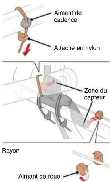 CAT EYE Strada Smart CCRD500B - Attachez I'aimant temporairement. - 1