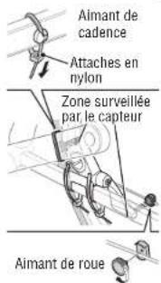CAT EYE Stealth evo plus CCGL51 - Fixez temporairement I'aimant - 1
