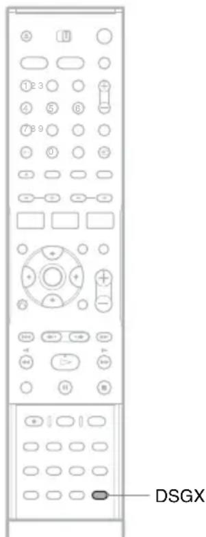 SONY DARRD100 - Verstärken der Bässe (DSGX) - 1