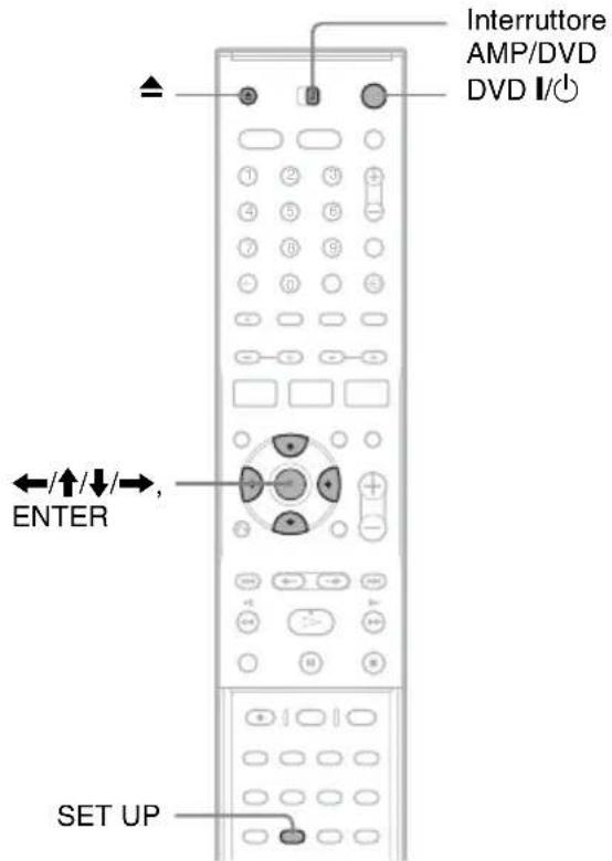 SONY DARRD100 - Inserimento e formattazione di un disco - 1
