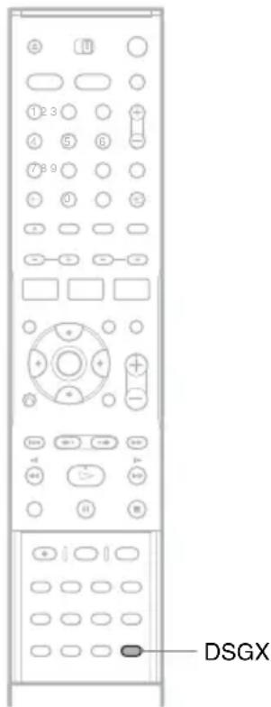 SONY DARRD100 - Basfrequencies versterken (DSGX) - 1