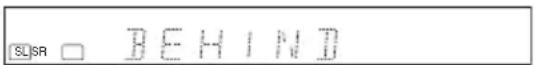 SONY DARRD100 - Premere ↑/↓ per selezionare "SURR SP" (diffusore surround), quindi premere ENTER o →. - 1