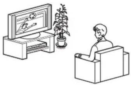 SONY DARRD100 - Riproduzione PAL progressiva - 1