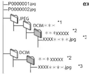 PANASONIC SCBT330 - Structures des dossiers photos (JPEG) - 2