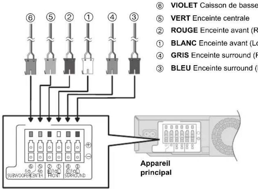 PANASONIC SCBT330 - Cable de connexion enceinte - 1