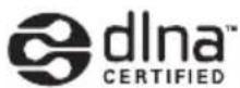 PIONEER XVBD121W - DLNA - 1
