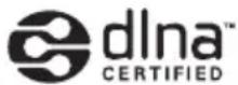 PIONEER XVBD521FSW - DLNA - 1