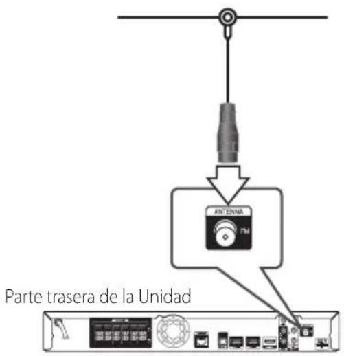 ANTEVINA FM Parte trasera de la Unidad