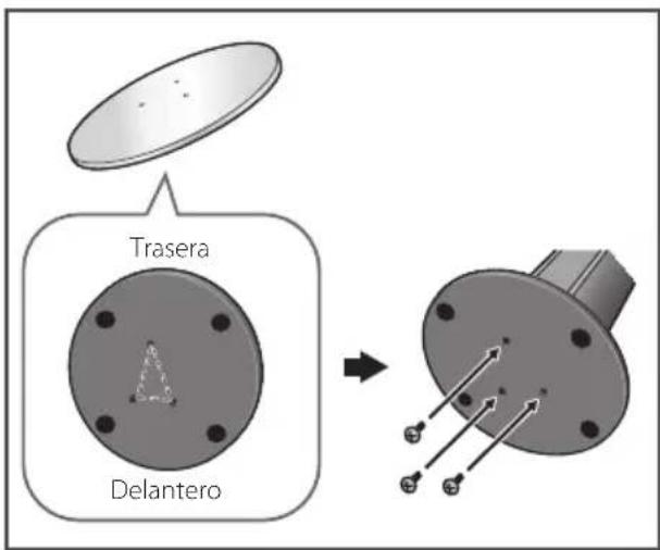 Trasera Delantero