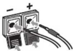 PIONEER HTS560DV - Branchez chaque haut-parleur. - 3