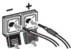 PIONEER HTS560DV - Connect each speaker. - 3