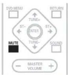 PIONEER HTZ940DV - Muting the sound - 1