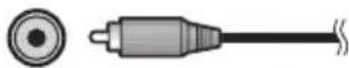 PIONEER HTP710 - Gewone RCA-videokabel - 1