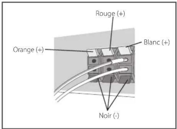 PIONEER BCSHF818 - Branchez les câbles au lecteur - 1