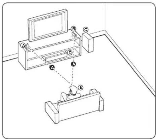 PIONEER BCSHF818 - Disposition du système - 1