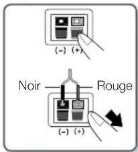 (- ) (+) Noir ———— Rouge ( - ) (+)