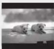 SAMSUNG HTE330 - TV Aspect - 2