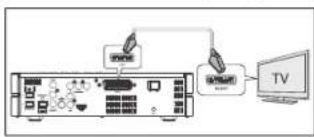 Terris MDVD 224 - Scart an TV-Ausgang - 1