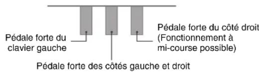 CASIO Privia PX330 - Fonctionnement des pédales lors d'une interprétation à quatre mains - 1