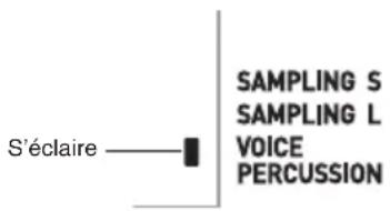 CASIO LK260 - À chaque pression du bouton (VOICE PERCUSSION), le mode VOICE PERCUSSION ou le mode de rythme normal est sélectionné en alternance. - 1