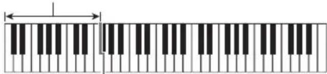 CASIO LK260 - ■FINGERED 1, 2 et 3 - 1
